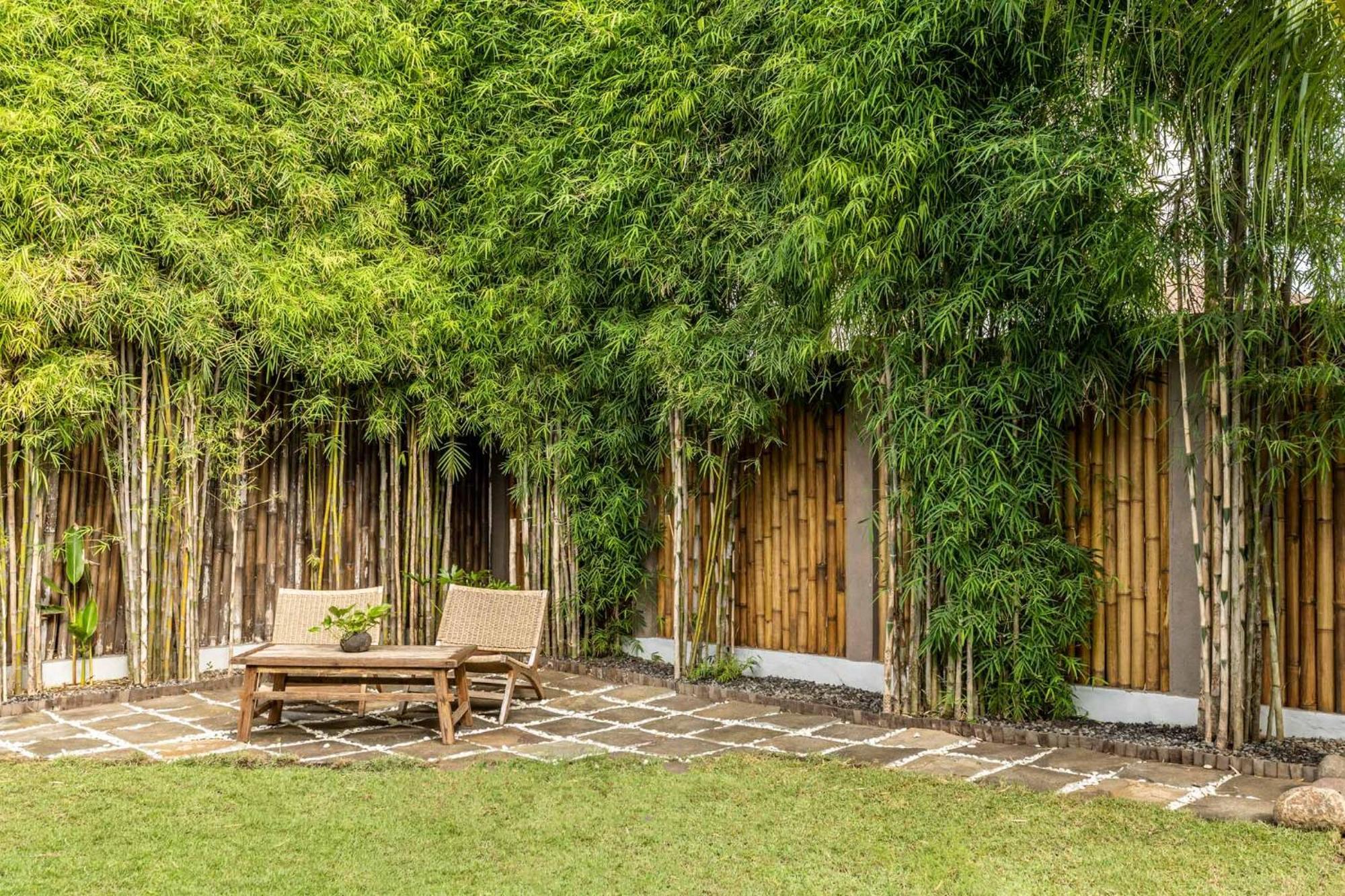 Rimba Villas Gili Air Rum bild